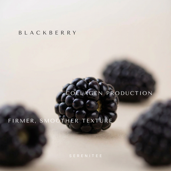 Blackberry Seed Oil packed with antioxidants to fight free radicals and environmental stress.